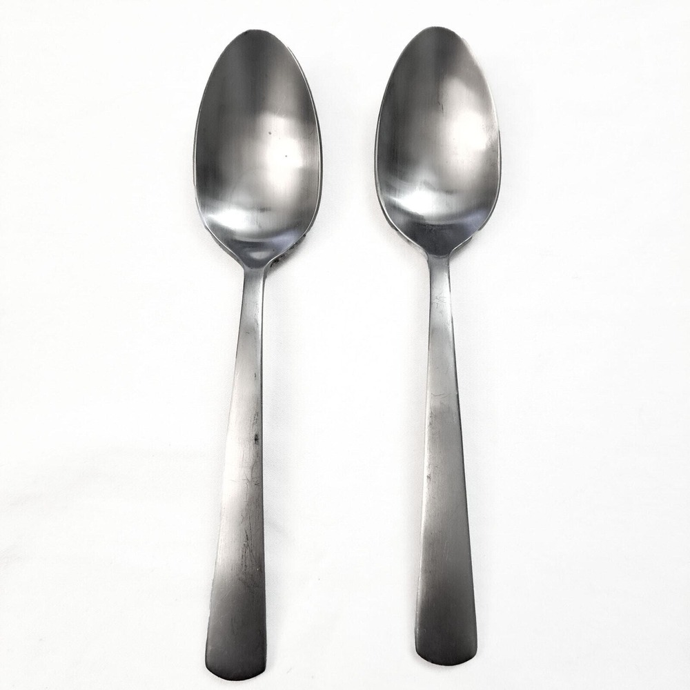 Oneida‎ Nocha Teaspoons Set of 2 Stainless Steel Satin Finish Dessert Spoons MCM